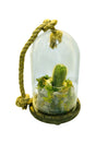  Cactus Terrarium Glass Planter for cacti and home decor
