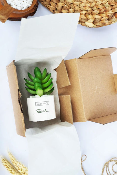 Succulent plant and candle corporate gift set