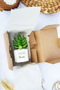 Succulent plant and candle corporate gift set