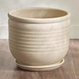 Coral Gables Ceramic Planter - Plantsworld.ae
