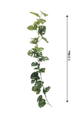 Artificial Creeping Plant - Monstera Swiss Cheese - Plantsworld.ae