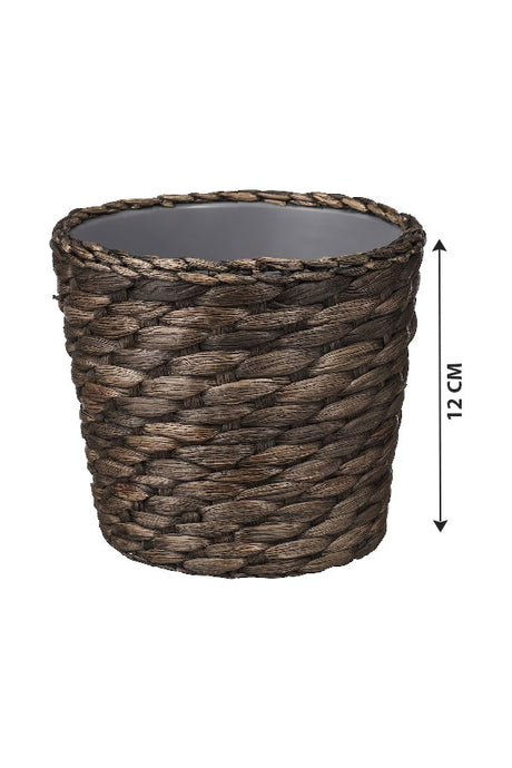 Cane Pot – Indoor - Plantsworld.ae