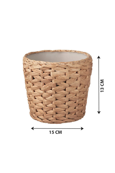 Cane Pot – Indoor - Plantsworld.ae