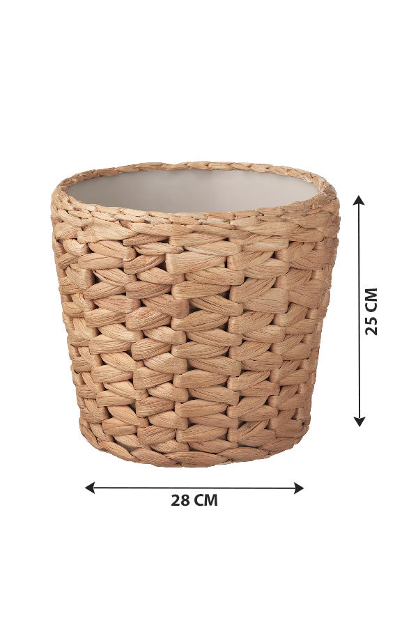 Cane Pot – Indoor - Plantsworld.ae