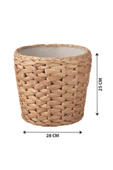 Cane Pot – Indoor - Plantsworld.ae