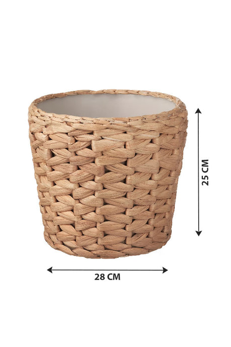 Cane Pot – Indoor - Plantsworld.ae