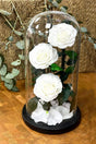 Timeless Forever White Roses (Set of 3) – Preserved Elegance at PlantsWorld UAE

