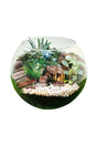 Fresh foliage terrariums with lush indoor plants in glass containers - Plantsworld.ae
