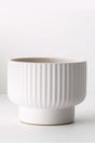 Rebeca GRC indoor plant pot – modern concrete planter for indoor plants UAE

