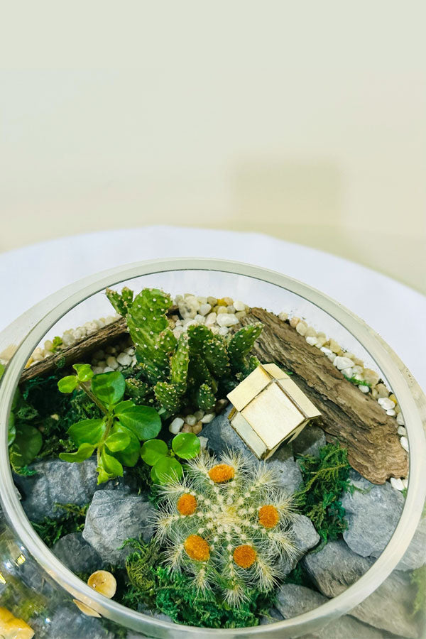 Glass Garden Delights - Terrarium - Plantsworld.ae