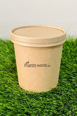 Microgreen Grow Kit - Plantsworld.ae