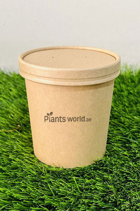 Microgreen Grow Kit - Plantsworld.ae