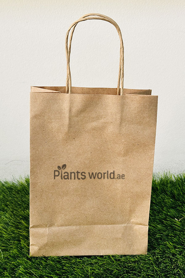 Microgreen Grow Kit - Plantsworld.ae