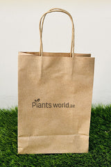 Microgreen Grow Kit - Plantsworld.ae