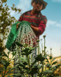 Holiday Plant Care in Dubai – Self-Watering Pots & Plant Sitting Services by PlantsWorld.ae

