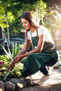 Professional home and villa plant maintenance service
