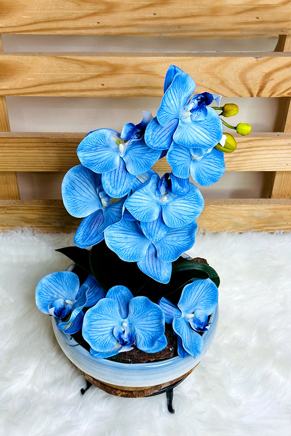 Faux Blue Orchid in Bowl - Plantsworld.ae