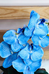 Faux Blue Orchid in Bowl - Plantsworld.ae
