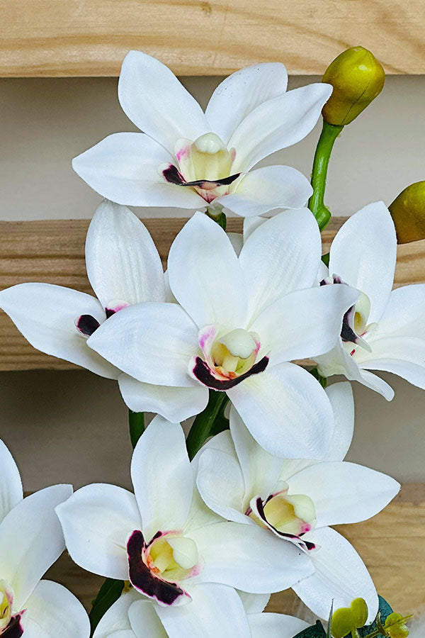 Faux White Orchid Arrangement - Plantsworld.ae
