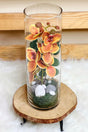 Stunning Orchid Arrangement in Glass Vase – Lifelike Artificial Orchid for Elegant Home & Office Décor | Plantsworld.ae

