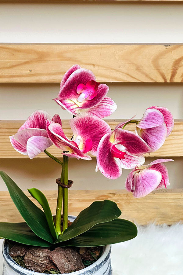 Faux Pink Orchid Arrangement - Plantsworld.ae