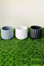 Small Ceramic Succulents Pot Set – Decorative Mini Planters for Succulents and Cacti in Dubai