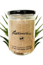 Maison Jar with Branding for Sale at PlantsWorld.ae - Elegant Glass Jar for Home and Garden Decor

