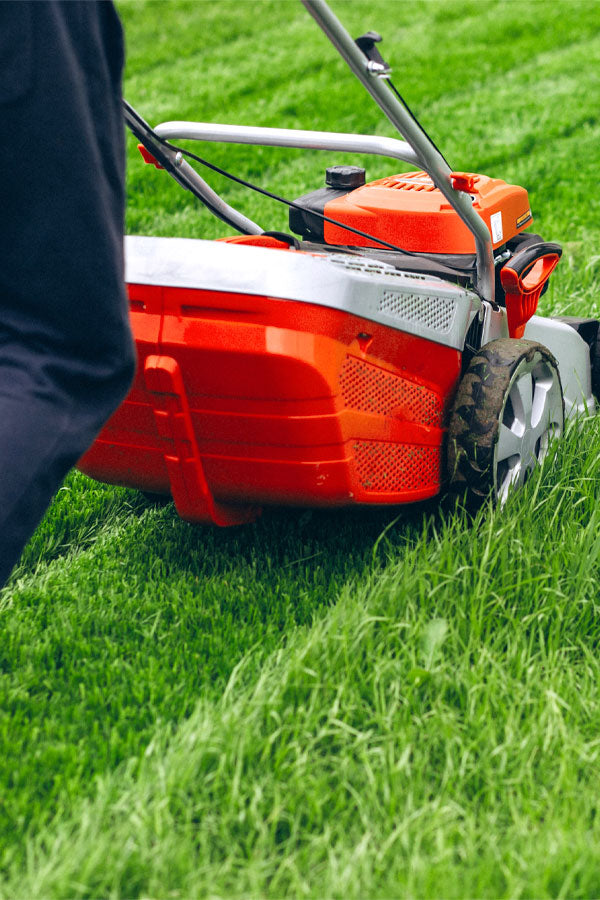 Professional Lawn Mowing Service in UAE – Expert Lawn Care by PlantsWorld.ae