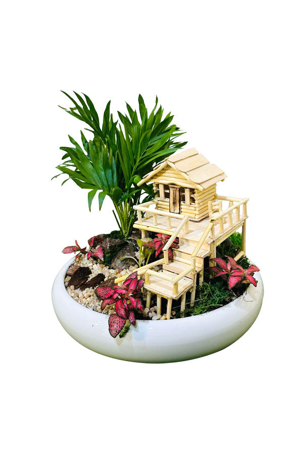 Green Plant Dish - Plantsworld.ae