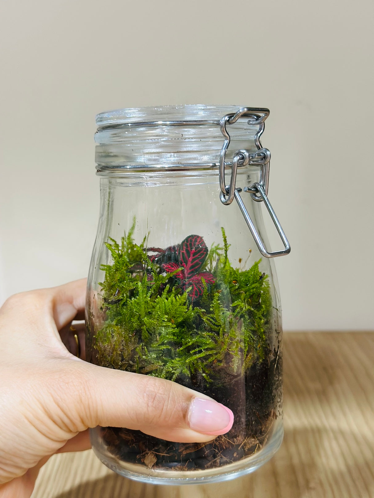Mini Forest Terrarium - Plantsworld.ae