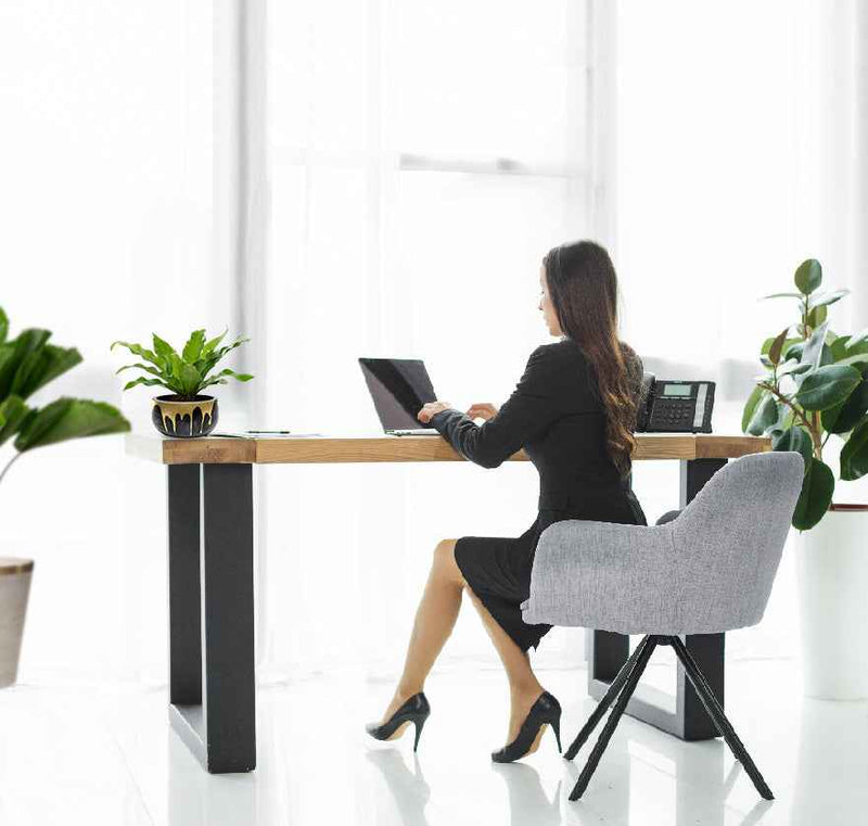 A office place decorated with plants
