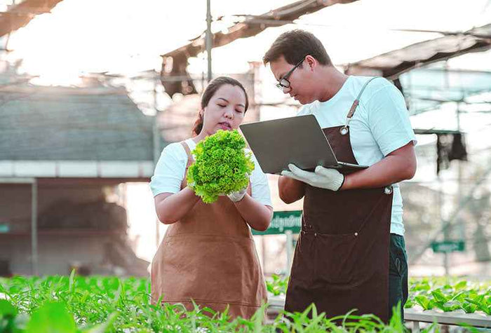 A man and women discuss plant condition 