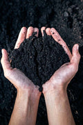 Premium Soil - Add On - Plantsworld.ae