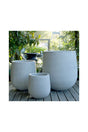 Swan GRC Indoor Plant Pot - Modern and Elegant Design for Indoor Plants
