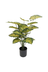 Artificial Caladium Plant with Colorful Heart-Shaped Leaves - Plantsworld.ae