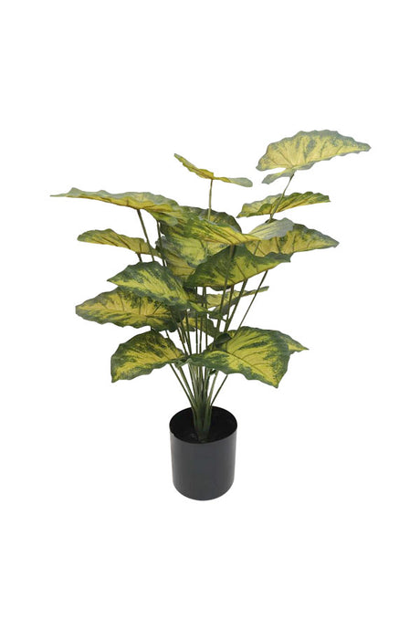 Artificial Caladium Plant with Colorful Heart-Shaped Leaves - Plantsworld.ae
