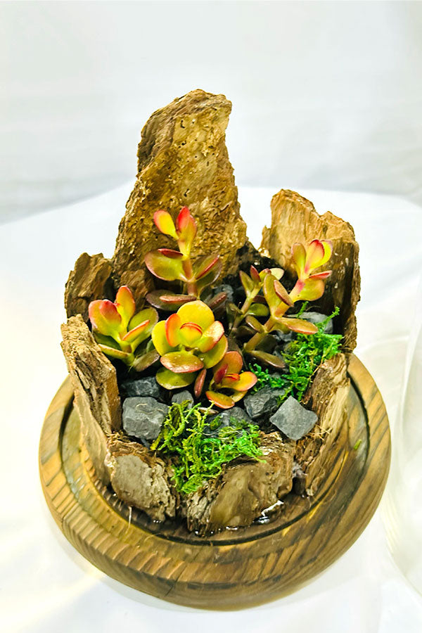 Verdant Vignettes - Terrarium - Plantsworld.ae