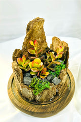 Verdant Vignettes - Terrarium - Plantsworld.ae