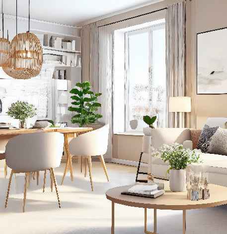 Indoor space decorated with beautiful plants