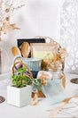Herbal tea & indoor plant wellness hamper
