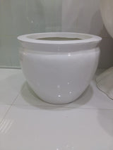 GRP Fish Bowl - Plantsworld.ae