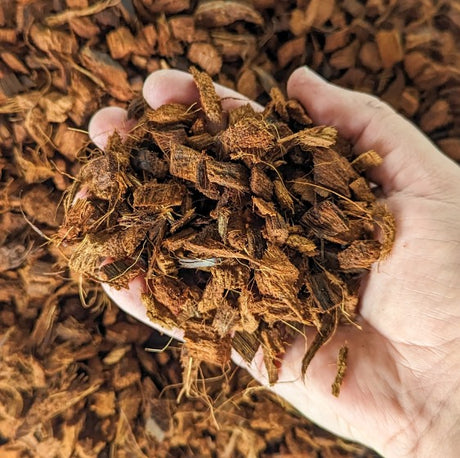 Coconut Chip for Plant Care - Improve Plant Growth and Health