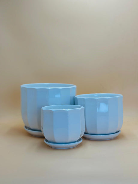 White Ceramic Planters Set - Plantsworld.ae
