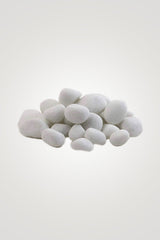 Flowering Plant Collection - Mixed Species - Plantsworld.ae