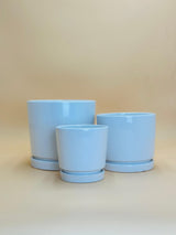 White Ceramic Pot With Attached Tray - Plantsworld.ae