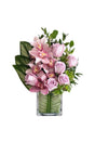 Permanent Perfect Botanical Designs – Elegant Artificial Plant Arrangement in Decorative Pot for Home & Office | Plantsworld.ae

