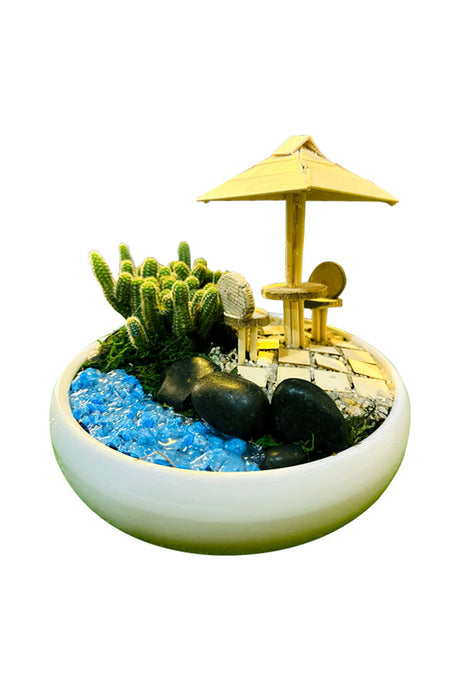 Fairy Garden Plant Dish – Miniature Indoor Garden with Decorative Elements

