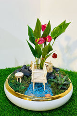 Mini Garden Dish - Plantsworld.ae