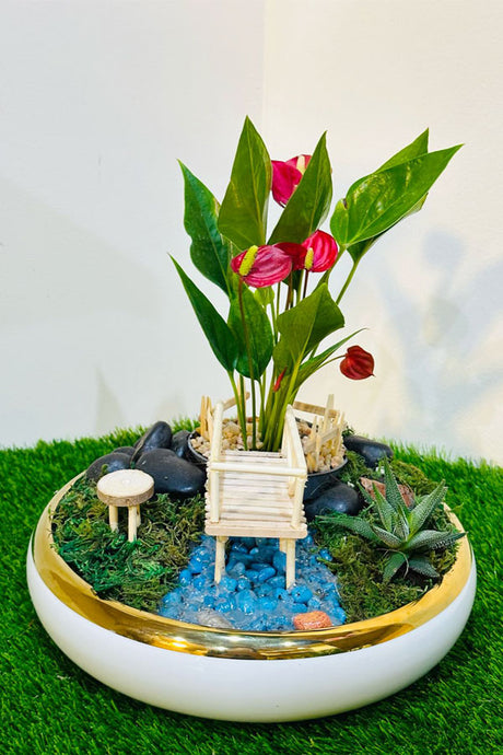 Mini Garden Dish - Plantsworld.ae