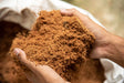 Coco Peat Moss for Plant Care – Ideal Soil Amendment for Healthy Plants